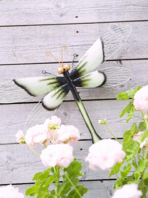 Trollslända vägg Ljusgrön