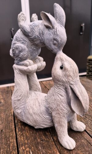 Trädgård kanin puss