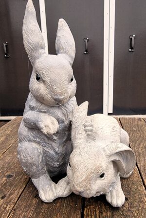 Trädgårds kaniner natur