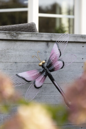 Trollslända vägg Rosa